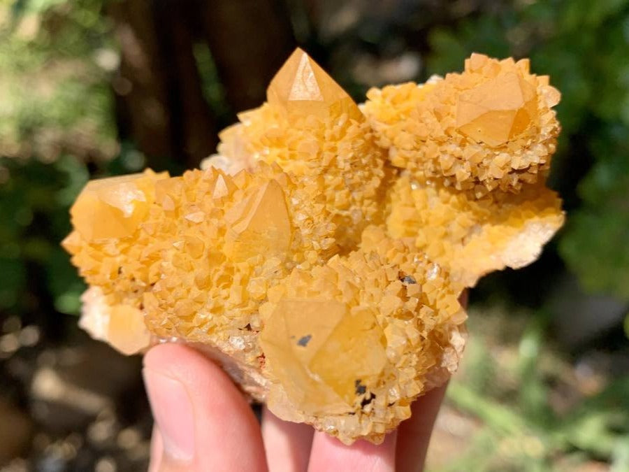 Natural Yellow Solar Spirit Quartz Cluster x 1 From Boekenhouthoek, South Africa