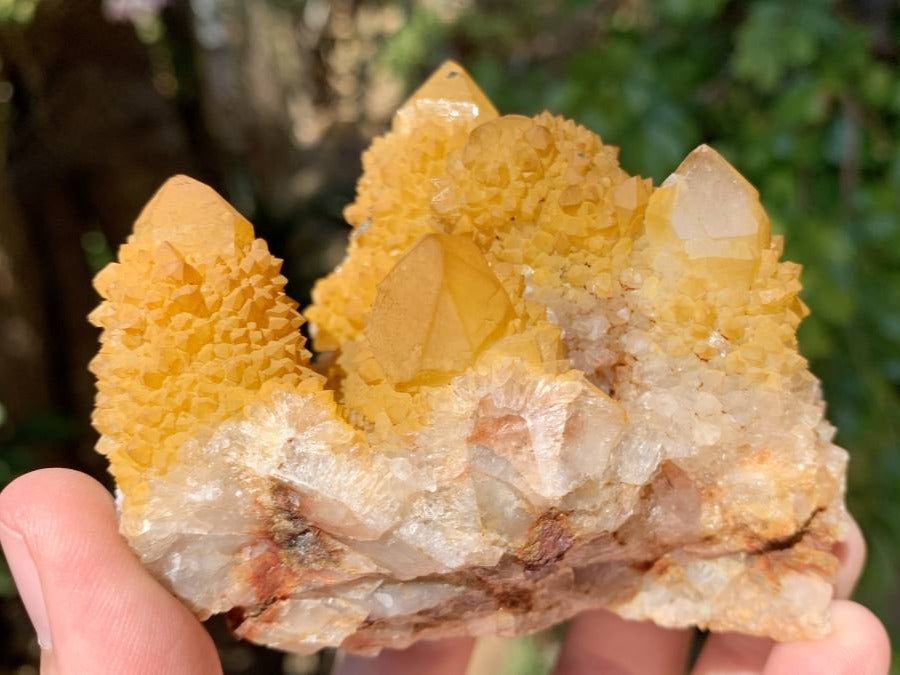 Natural Yellow Solar Spirit Quartz Cluster x 1 From Boekenhouthoek, South Africa