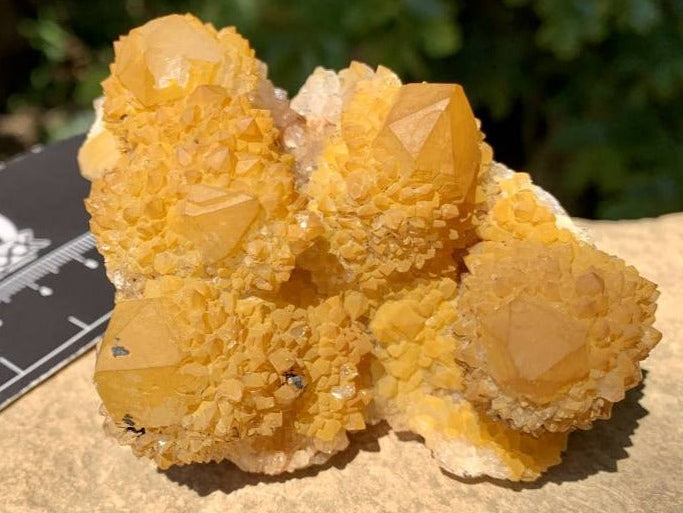 Natural Yellow Solar Spirit Quartz Cluster x 1 From Boekenhouthoek, South Africa