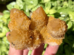 Natural Yellow Solar Spirit Quartz Cluster x 1 From Boekenhouthoek, South Africa