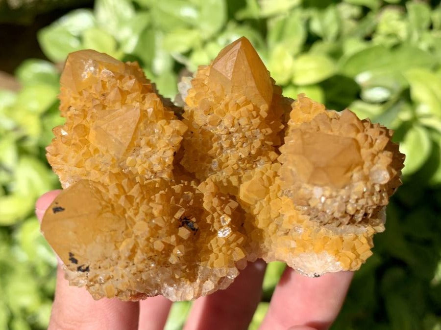Natural Yellow Solar Spirit Quartz Cluster x 1 From Boekenhouthoek, South Africa