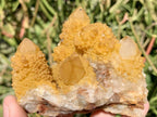 Natural Yellow Solar Spirit Quartz Cluster x 1 From Boekenhouthoek, South Africa