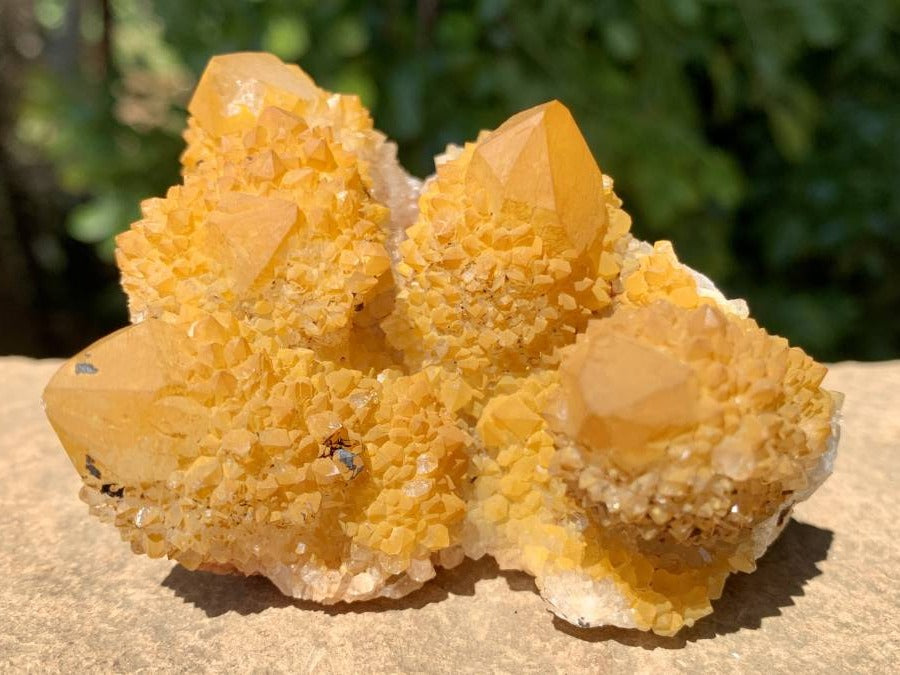 Natural Yellow Solar Spirit Quartz Cluster x 1 From Boekenhouthoek, South Africa
