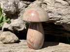 Polished Dragon Scale Polychrome Jasper Mushroom x 1 From Madagascar