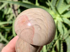 Polished Dragon Scale Polychrome Jasper Mushroom x 1 From Madagascar