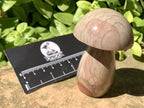Polished Dragon Scale Polychrome Jasper Mushroom x 1 From Madagascar