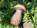 Polished Dragon Scale Polychrome Jasper Mushroom x 1 From Madagascar