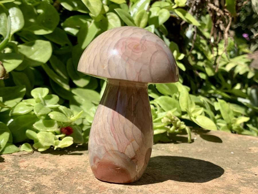 Polished Dragon Scale Polychrome Jasper Mushroom x 1 From Madagascar