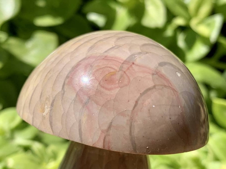 Polished Dragon Scale Polychrome Jasper Mushroom x 1 From Madagascar