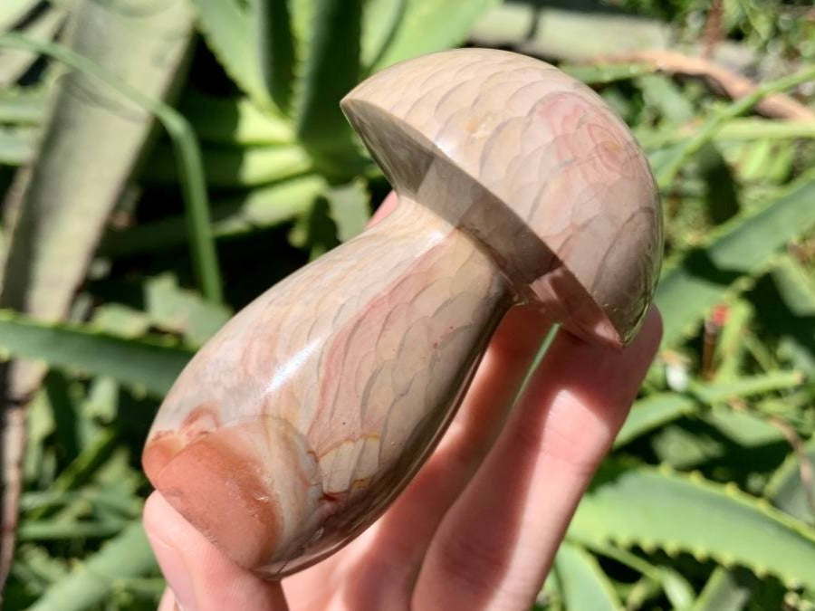 Polished Dragon Scale Polychrome Jasper Mushroom x 1 From Madagascar