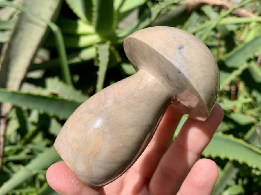 Polished Dragon Scale Polychrome Jasper Mushroom x 1 From Madagascar