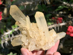 Natural Clear Quartz Cluster with Golden Tint x 1 From Ambatfinhandrana, Madagascar