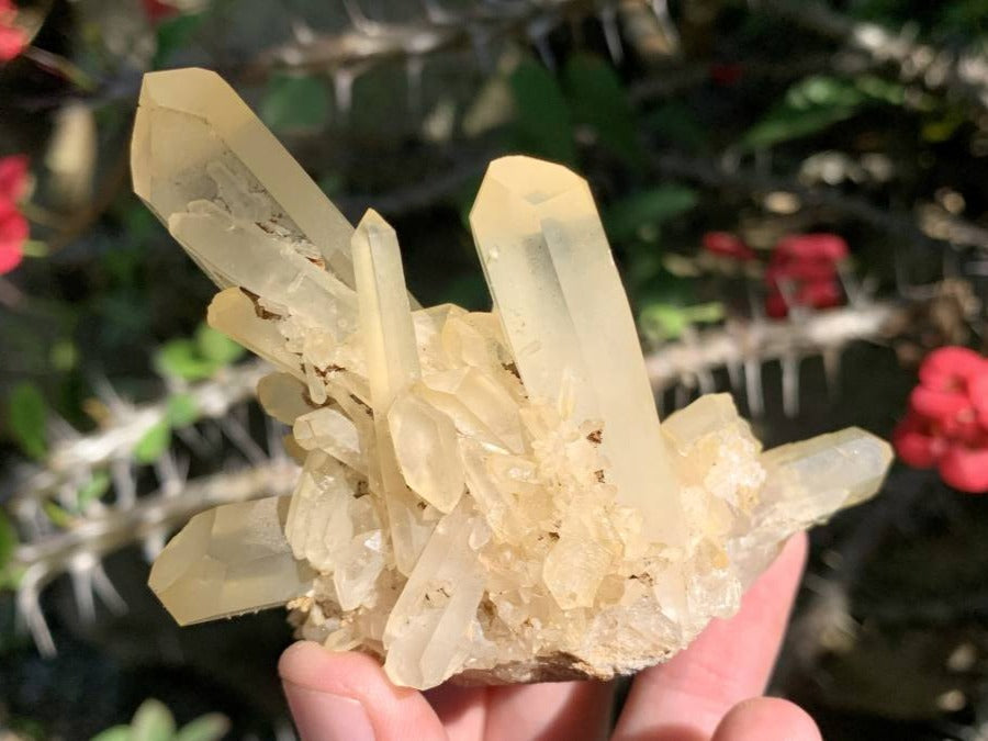 Natural Clear Quartz Cluster with Golden Tint x 1 From Ambatfinhandrana, Madagascar