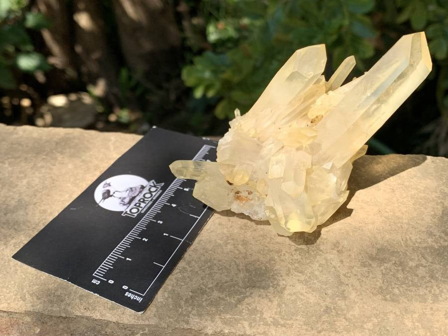 Natural Clear Quartz Cluster with Golden Tint x 1 From Ambatfinhandrana, Madagascar