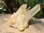 Natural Clear Quartz Cluster with Golden Tint x 1 From Ambatfinhandrana, Madagascar