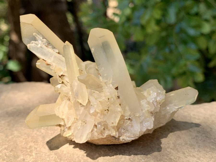 Natural Clear Quartz Cluster with Golden Tint x 1 From Ambatfinhandrana, Madagascar