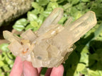 Natural Clear Quartz Cluster with Golden Tint x 1 From Ambatfinhandrana, Madagascar
