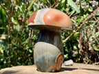 Polished Large Polychrome Jasper Mushroom x 1 From NW Coast, Madagascar