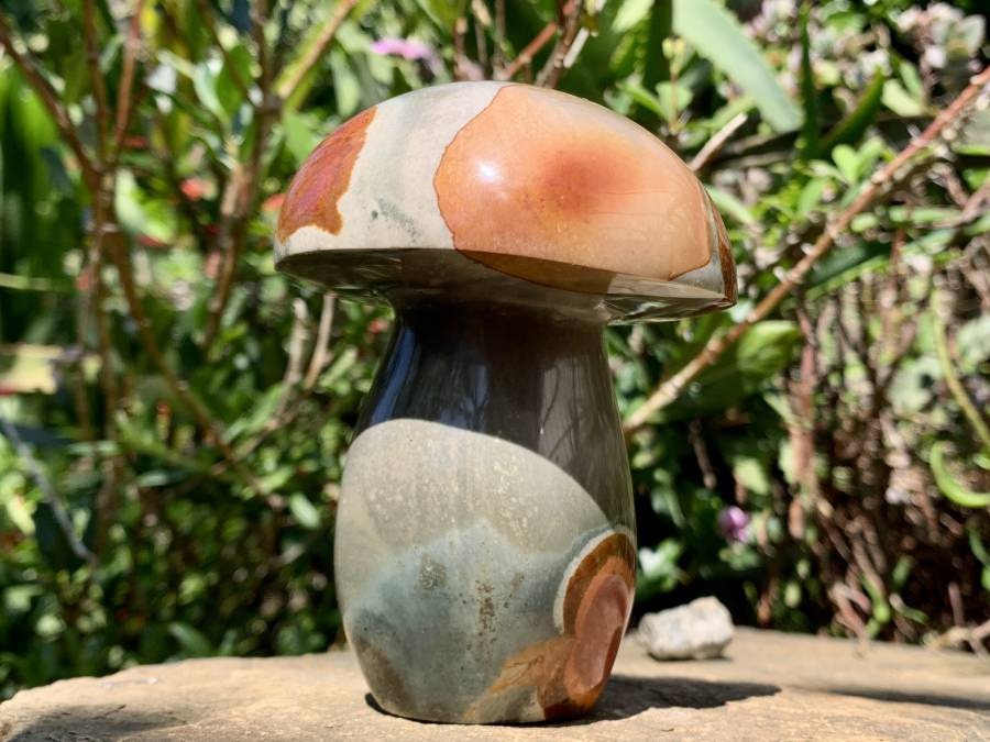 Polished Large Polychrome Jasper Mushroom x 1 From NW Coast, Madagascar