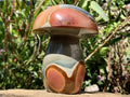 Polished Large Polychrome Jasper Mushroom x 1 From NW Coast, Madagascar