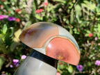 Polished Large Polychrome Jasper Mushroom x 1 From NW Coast, Madagascar