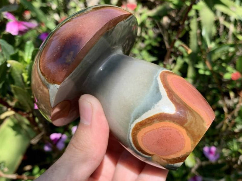 Polished Large Polychrome Jasper Mushroom x 1 From NW Coast, Madagascar