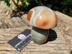 Polished Large Polychrome Jasper Mushroom x 1 From NW Coast, Madagascar