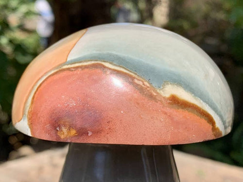 Polished Large Polychrome Jasper Mushroom x 1 From NW Coast, Madagascar