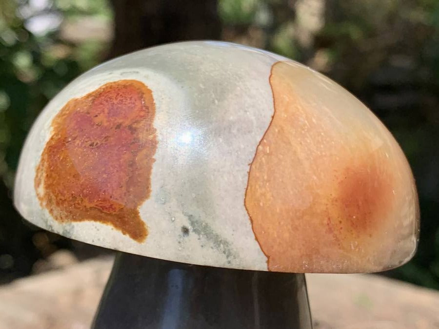 Polished Large Polychrome Jasper Mushroom x 1 From NW Coast, Madagascar