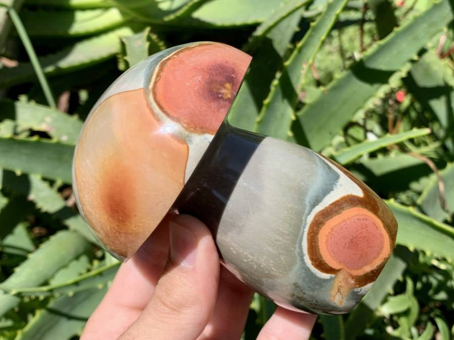 Polished Large Polychrome Jasper Mushroom x 1 From NW Coast, Madagascar