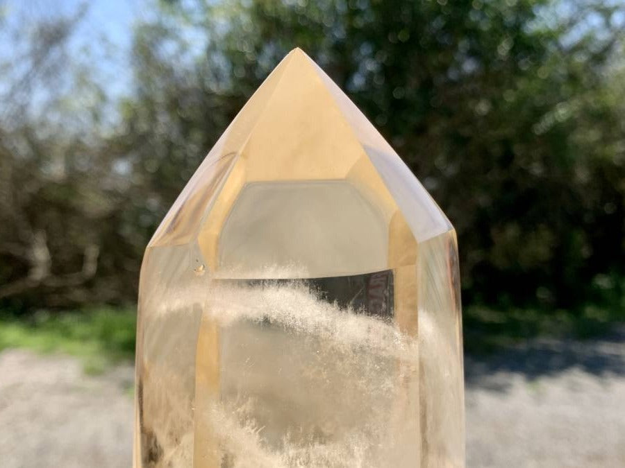 Polished Large Clear Citrine Quartz Crystal x 1 From Madagascar