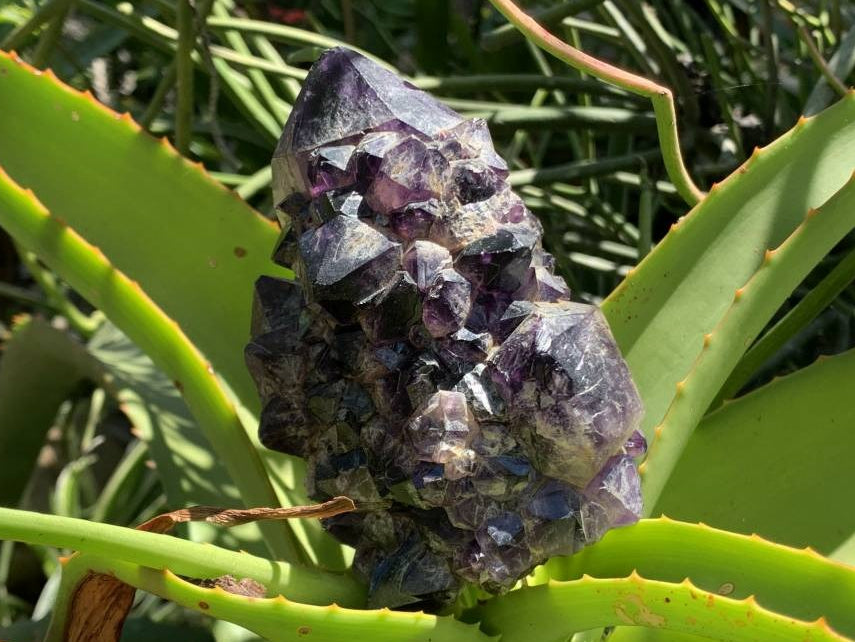 Polished Rare Twin Pineapple Amethyst Quartz Crystal x 1 From Angola