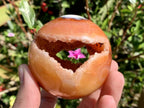 Polished Laughing Carnelian Agate Sphere x 1 From Madagascar