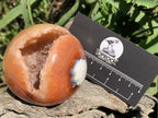 Polished Laughing Carnelian Agate Sphere x 1 From Madagascar