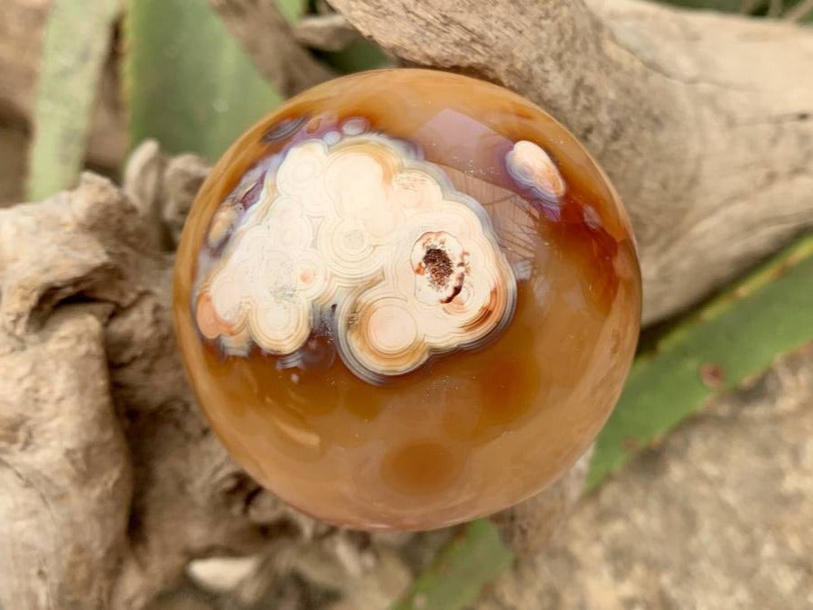 Polished Laughing Carnelian Agate Sphere x 1 From Madagascar