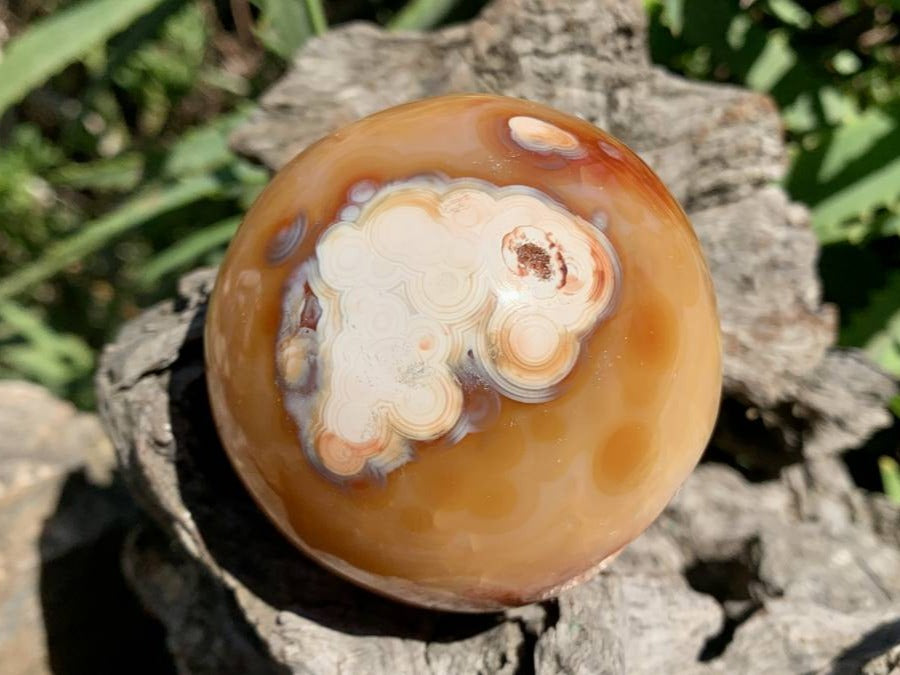 Polished Laughing Carnelian Agate Sphere x 1 From Madagascar