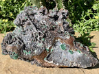 Natural Drusy Coated Ball Malachite on Red Dolomite x 1 From Mindingi Mine, Kambove, Congo