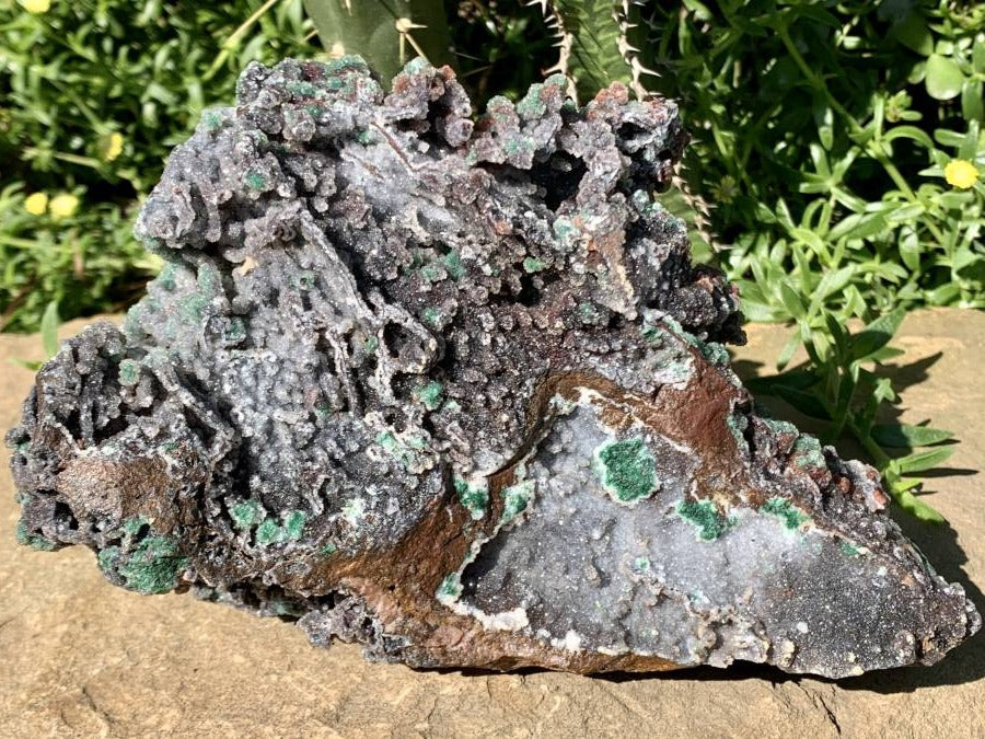 Natural Drusy Coated Ball Malachite on Red Dolomite x 1 From Mindingi Mine, Kambove, Congo