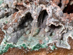 Natural Drusy Coated Ball Malachite on Red Dolomite x 1 From Mindingi Mine, Kambove, Congo
