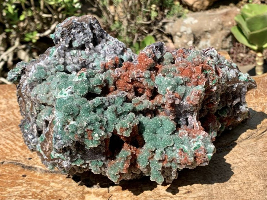 Natural Drusy Coated Ball Malachite on Red Dolomite x 1 From Mindingi Mine, Kambove, Congo
