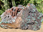 Natural Drusy Coated Ball Malachite on Red Dolomite x 1 From Mindingi Mine, Kambove, Congo