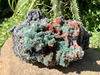 Natural Drusy Coated Ball Malachite on Red Dolomite x 1 From Mindingi Mine, Kambove, Congo