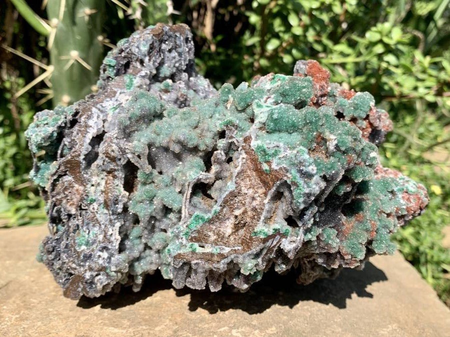 Natural Drusy Coated Ball Malachite on Red Dolomite x 1 From Mindingi Mine, Kambove, Congo