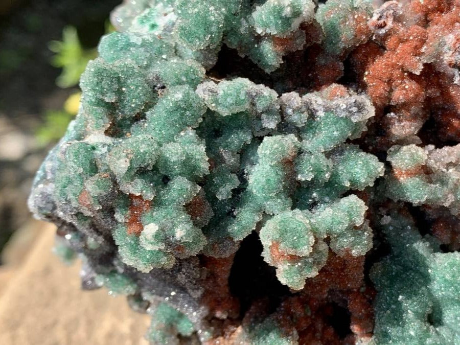 Natural Drusy Coated Ball Malachite on Red Dolomite x 1 From Mindingi Mine, Kambove, Congo