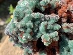 Natural Drusy Coated Ball Malachite on Red Dolomite x 1 From Mindingi Mine, Kambove, Congo