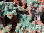 Natural Drusy Coated Ball Malachite on Red Dolomite x 1 From Mindingi Mine, Kambove, Congo
