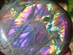 Polished Purple Sunset Labradorite Palm Stone x 1 From Tulear, Madagascar