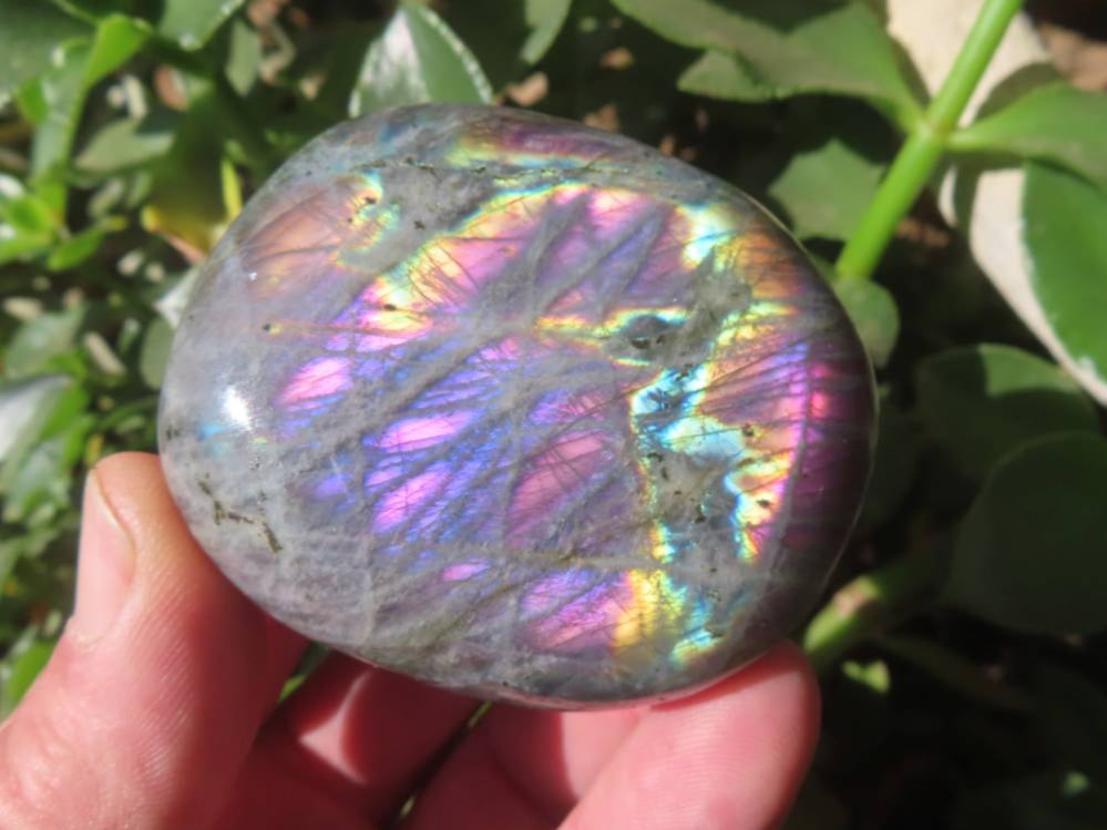 Polished Purple Sunset Labradorite Palm Stone x 1 From Tulear, Madagascar