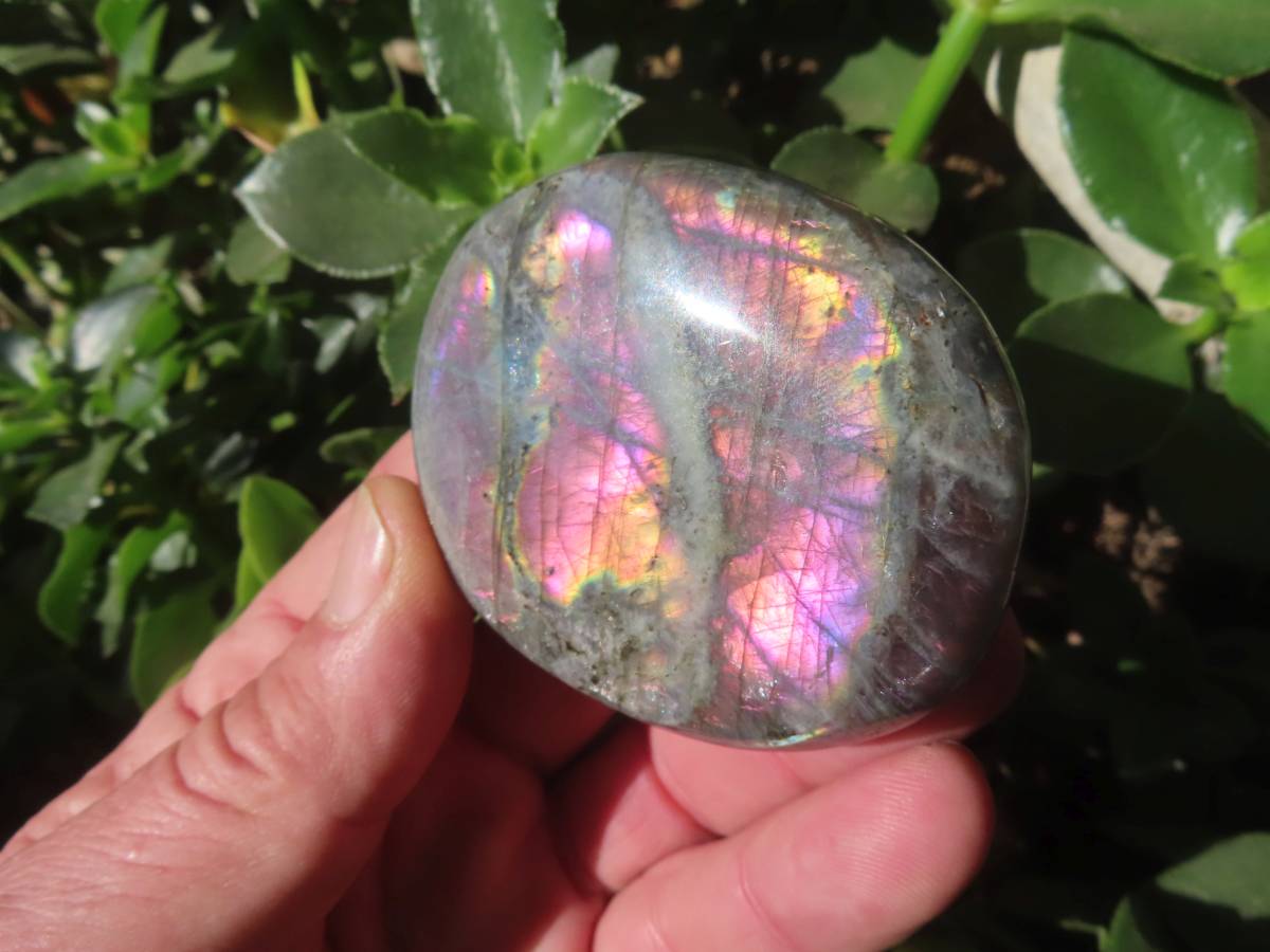 Polished Purple Sunset Labradorite Palm Stone x 1 From Tulear, Madagascar