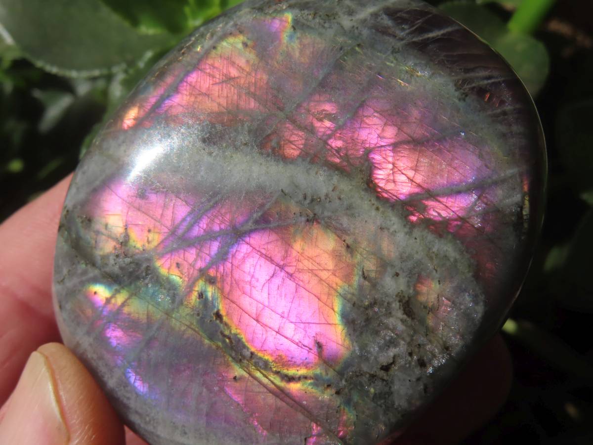 Polished Purple Sunset Labradorite Palm Stone x 1 From Tulear, Madagascar